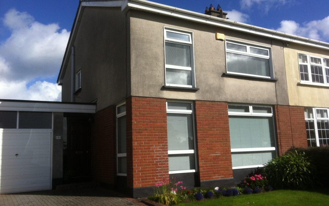 Exterior Cleaning